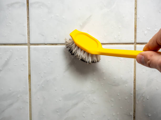 Reliable Newark, OH Mold Remediation Solutions
