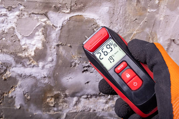 Best Emergency Mold Remediation in Newark, OH