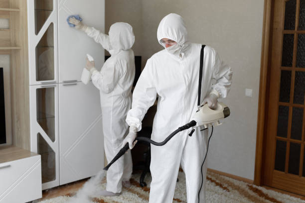 Professional Mold Remediation in Newark, OH